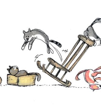Primera Adaptación Al Nuevo Hogar de un gato