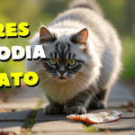 Olores Que Más Odian Los Gatos
