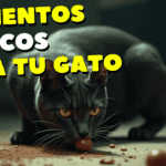 Alimentos Tóxicos Para Los Gatos