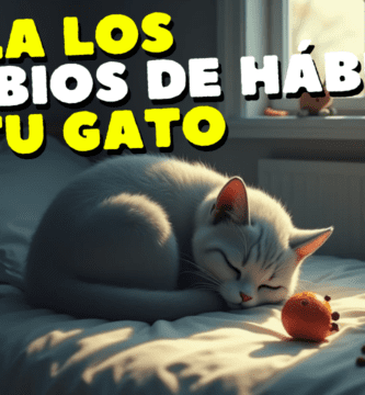 Vigila Cualquier Cambio De Hábitos