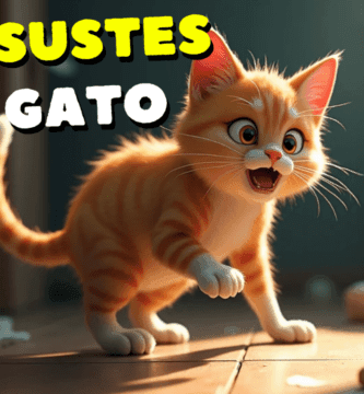 No Asustes A Tu Gato