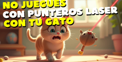 No Juegues Con Punteros Laser
