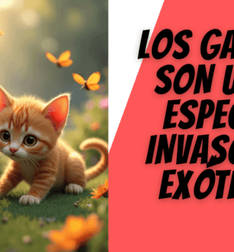 Los Gatos Son Una Especie Invasora Exótica
