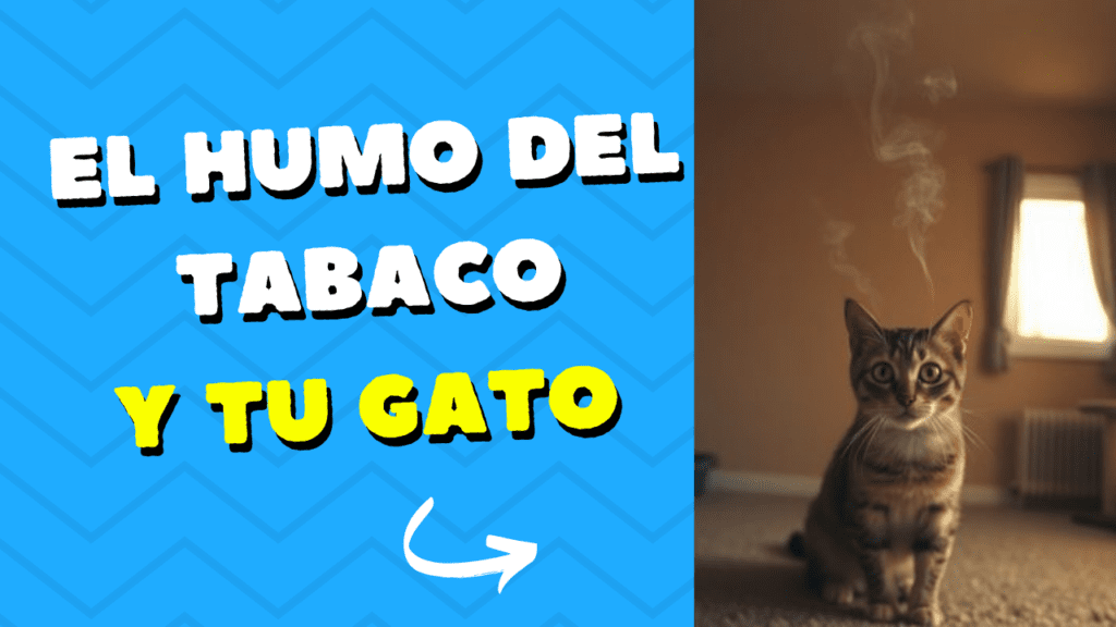 Humo Del Tabaco