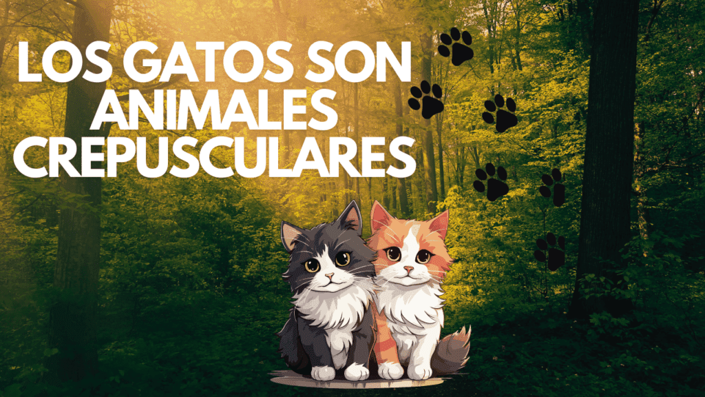 Los Gatos Son Animales Crepusculares