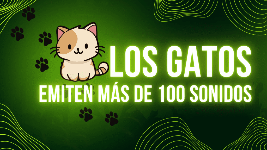 Los Gatos Emiten Más de 100 Sonidos