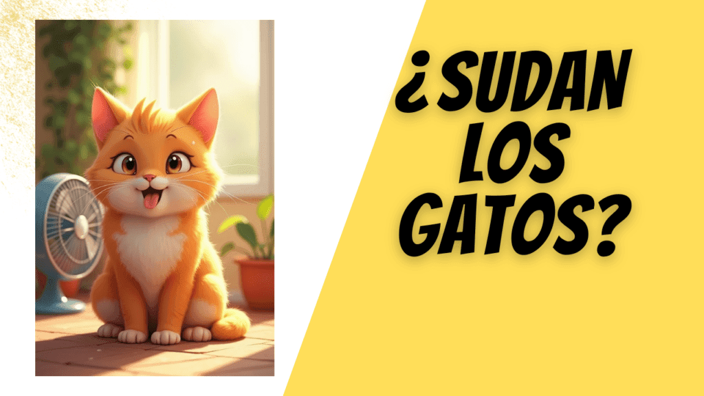 Los Gatos También Sudan