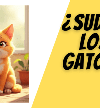 Los Gatos También Sudan