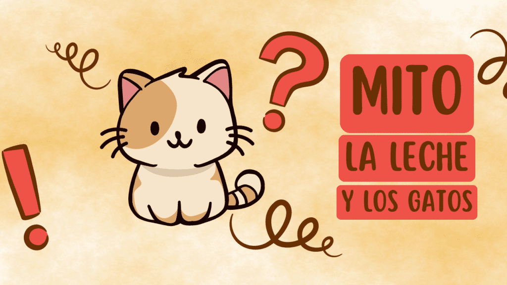 Los Gatos Y La Leche