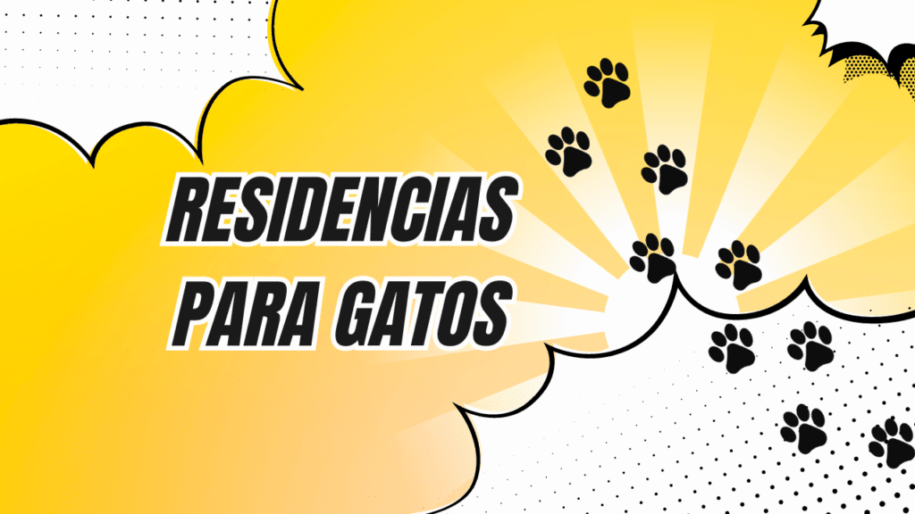 Residencias Para Gatos