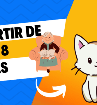 A Partir De Los 18 Meses de vida de un gato