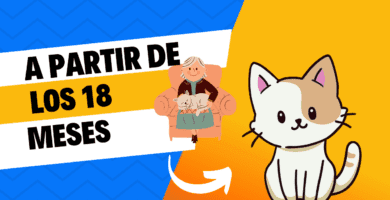 A Partir De Los 18 Meses de vida de un gato