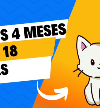De los 4 Meses a los 18 Meses