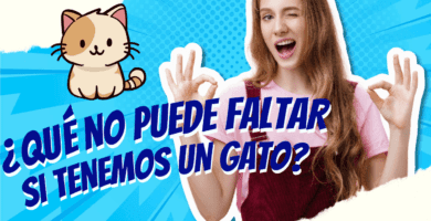 No Puede Faltar En Nuestro Hogar