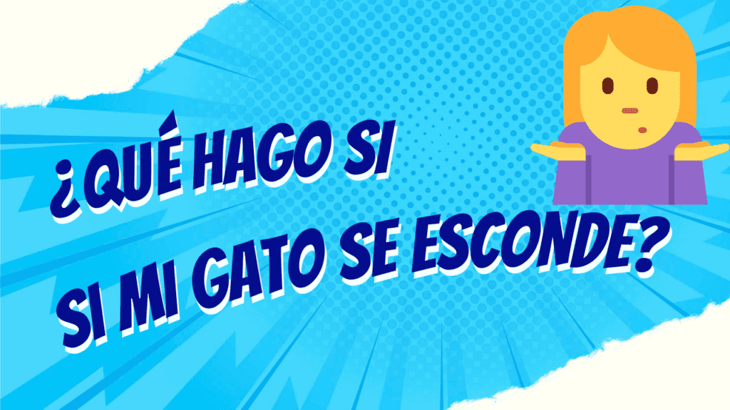 ¿Qué Hago Si Mi Gato Se Esconde y No Sale en Varios Días?