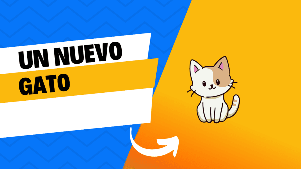 Un Nuevo Gato