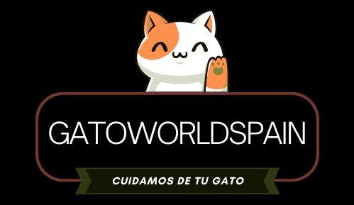 GatoWorldSpain