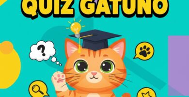 QUIZZ GATUNO